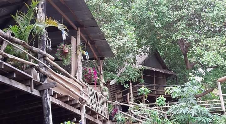 Tree Lodge Banlung 外观 照片